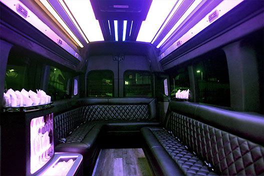 1-14 Passenger Brand New Limo Van